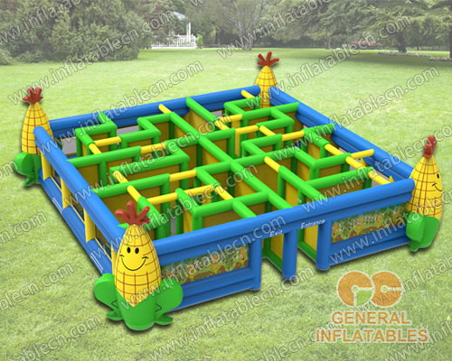  Corn maze