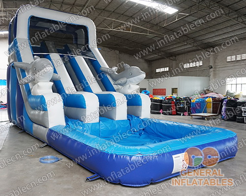  Dolphin dual water slide