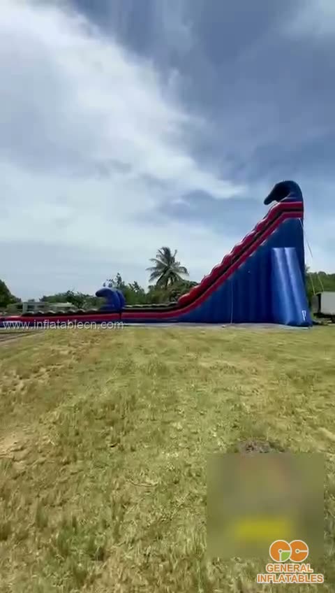 Customer video