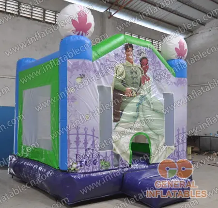  Princess and frog bounce houses