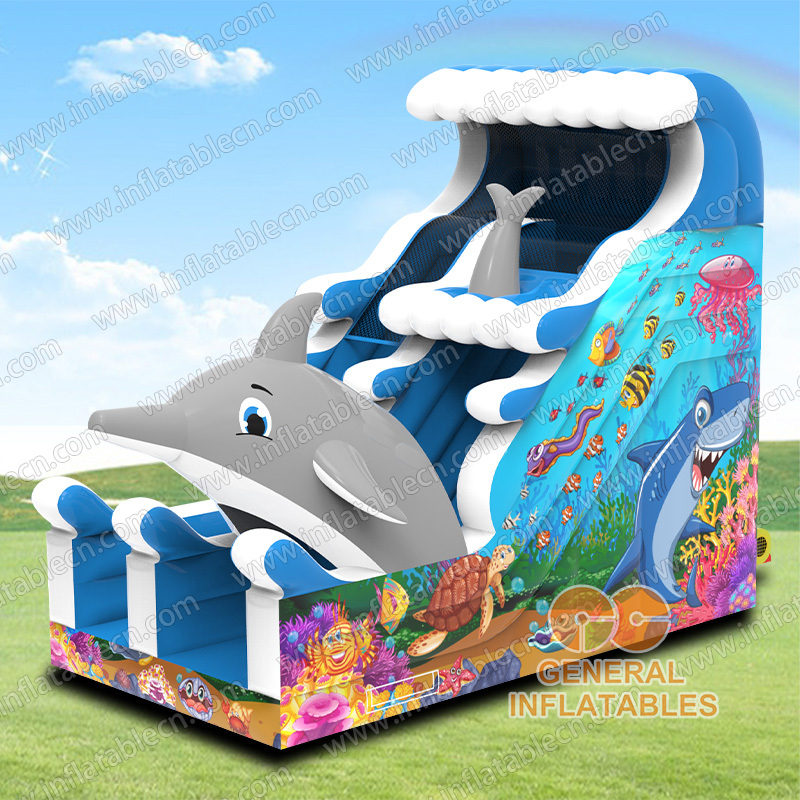 GS-021 Dolphin slide