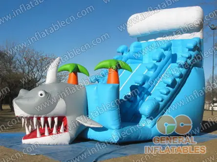  Shark slide