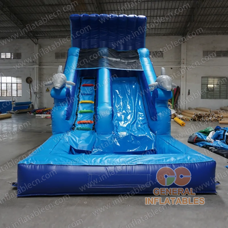 GWS-056 Delfin Wasserrutsche