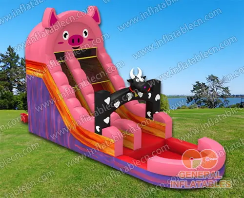  Farm water slide