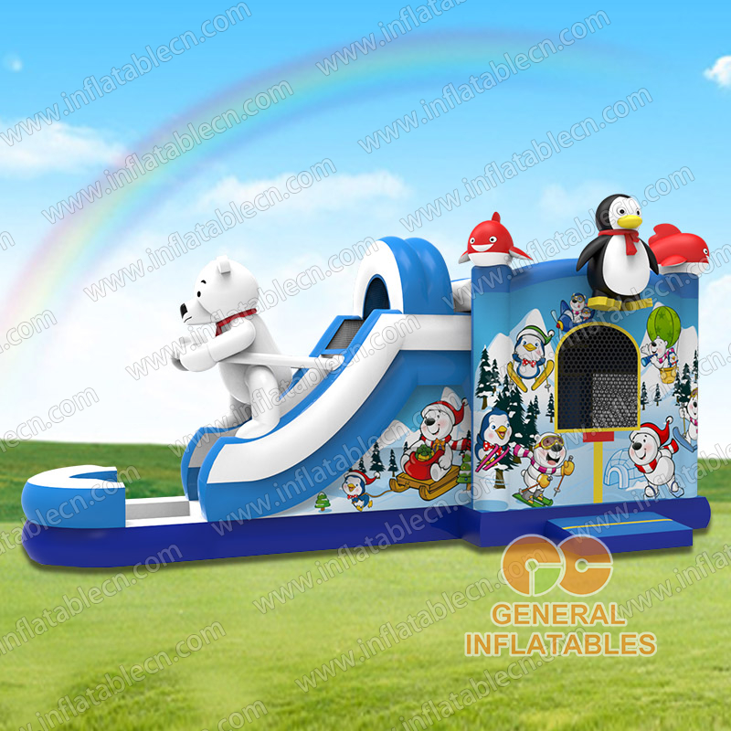  Combo scivolo sciistico con piscina