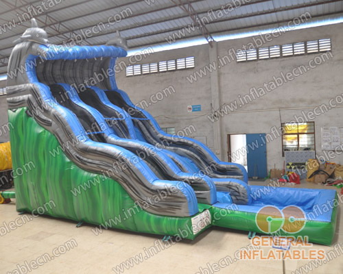  Scivolo acquatico delfino