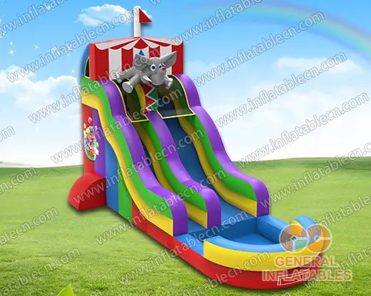 GWS-217 Circus water slide