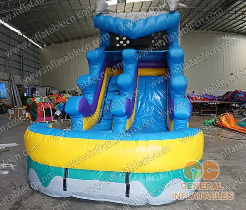  Dolphin water slide