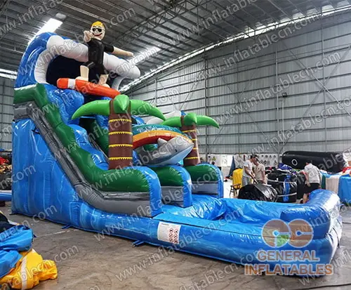 GWS-250 Glisse aquatique sur surf