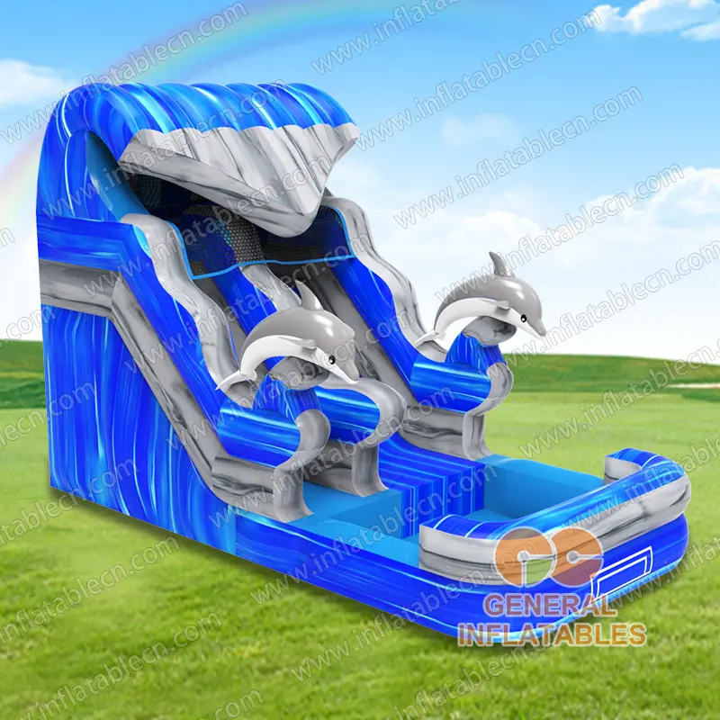  Dolphin wave water slide