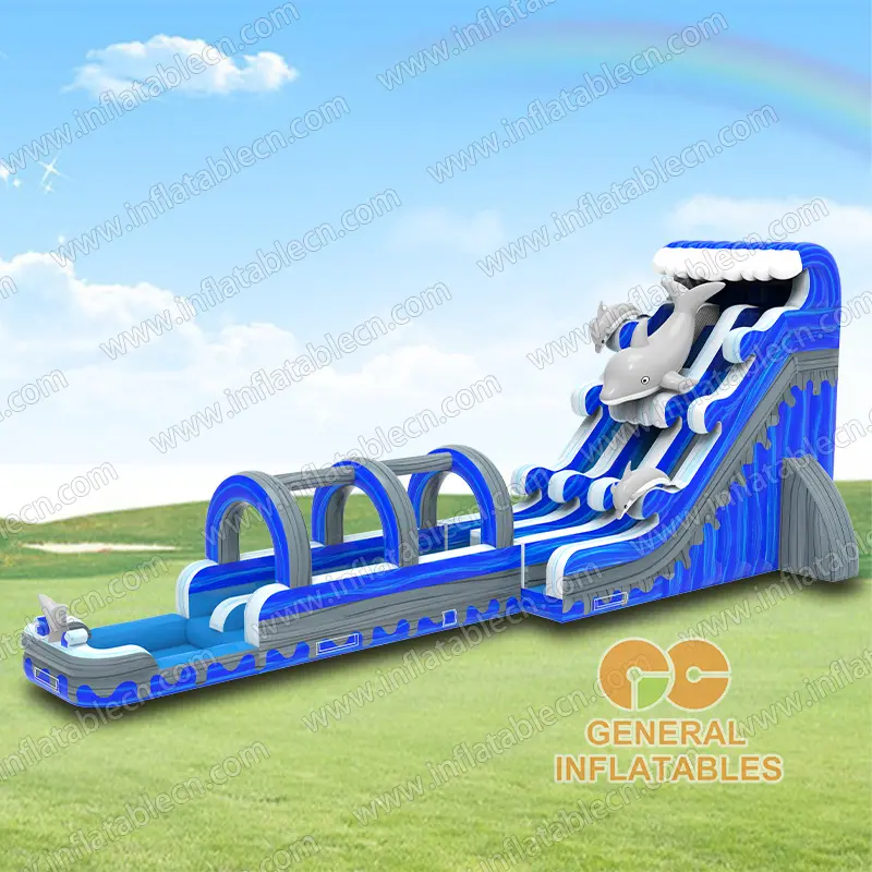  24FT Dolphin dual water slide